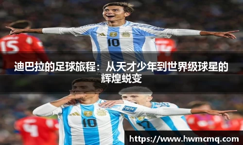 博鱼boyu