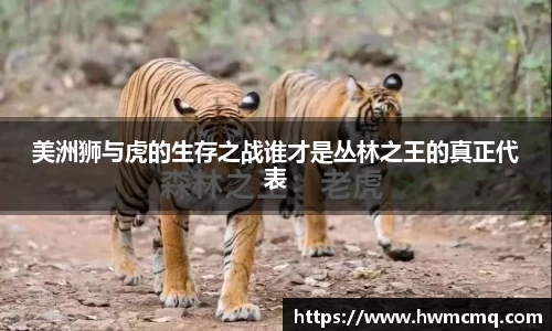 美洲狮与虎的生存之战谁才是丛林之王的真正代表